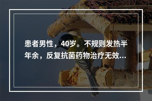 患者男性，40岁。不规则发热半年余，反复抗菌药物治疗无效，明