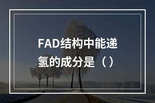 FAD结构中能递氢的成分是（ ）