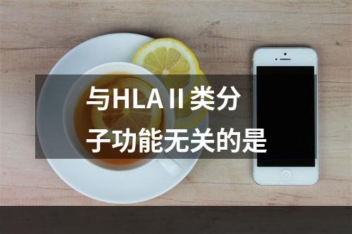 与HLAⅡ类分子功能无关的是