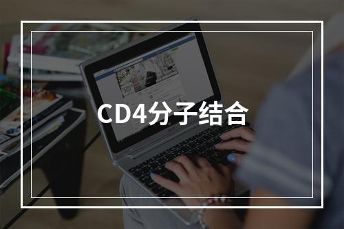 CD4分子结合