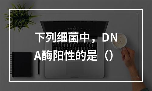 下列细菌中，DNA酶阳性的是（）