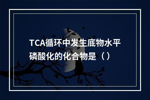 TCA循环中发生底物水平磷酸化的化合物是（ ）