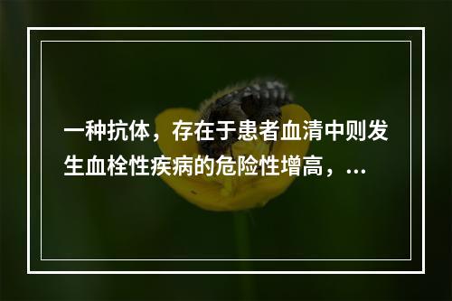 一种抗体，存在于患者血清中则发生血栓性疾病的危险性增高，且妇