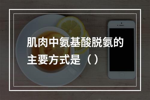 肌肉中氨基酸脱氨的主要方式是（ ）