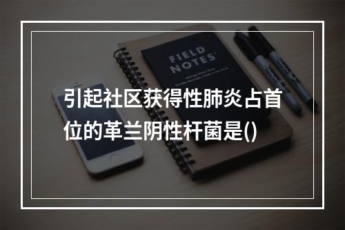 引起社区获得性肺炎占首位的革兰阴性杆菌是()