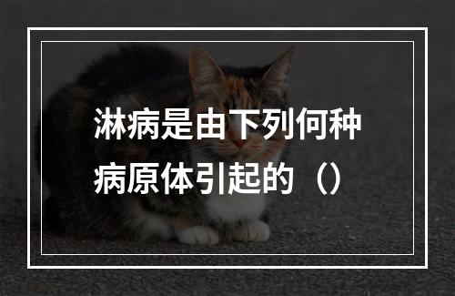 淋病是由下列何种病原体引起的（）