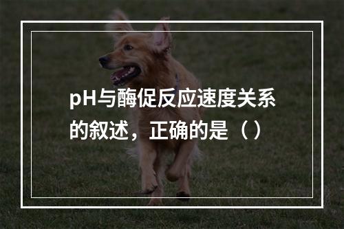 pH与酶促反应速度关系的叙述，正确的是（ ）