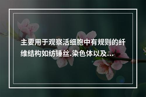 主要用于观察活细胞中有规则的纤维结构如纺锤丝.染色体以及纤维