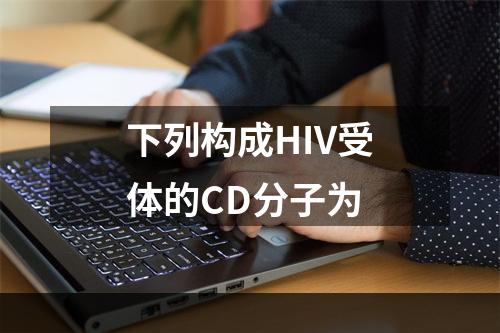 下列构成HIV受体的CD分子为