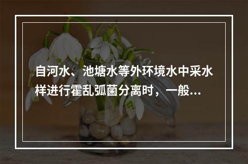 自河水、池塘水等外环境水中采水样进行霍乱弧菌分离时，一般采集