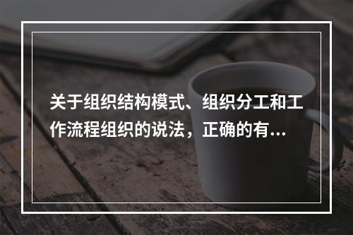 关于组织结构模式、组织分工和工作流程组织的说法，正确的有（　