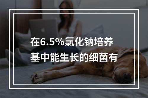 在6.5%氯化钠培养基中能生长的细菌有