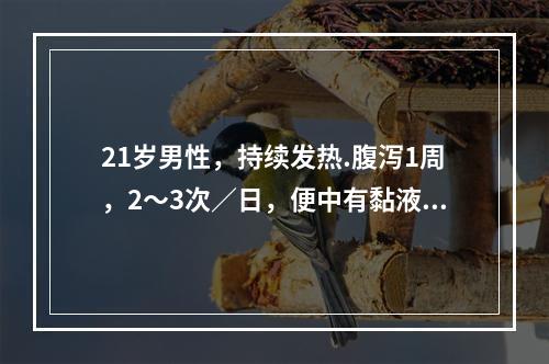 21岁男性，持续发热.腹泻1周，2～3次／日，便中有黏液，右