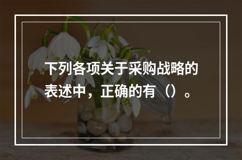 下列各项关于采购战略的表述中，正确的有（）。