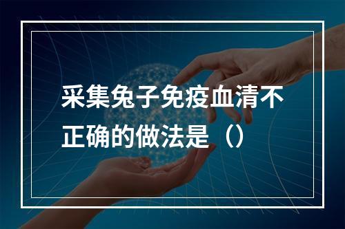 采集兔子免疫血清不正确的做法是（）