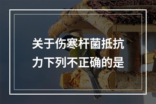 关于伤寒杆菌抵抗力下列不正确的是