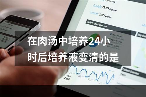 在肉汤中培养24小时后培养液变清的是