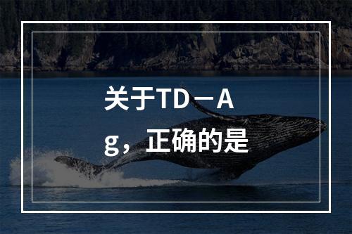 关于TD－Ag，正确的是