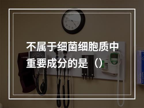 不属于细菌细胞质中重要成分的是（）