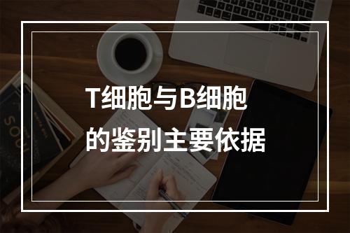 T细胞与B细胞的鉴别主要依据