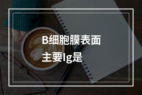 B细胞膜表面主要Ig是