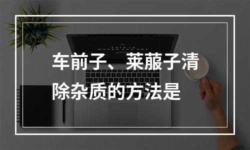 车前子、莱菔子清除杂质的方法是