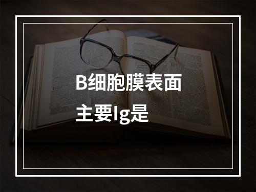 B细胞膜表面主要Ig是