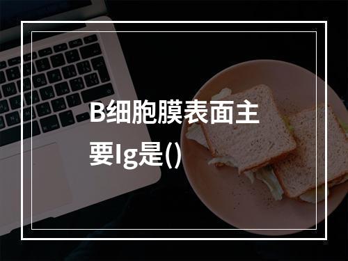 B细胞膜表面主要Ig是()