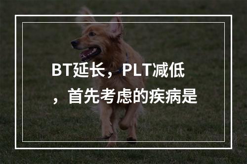 BT延长，PLT减低，首先考虑的疾病是