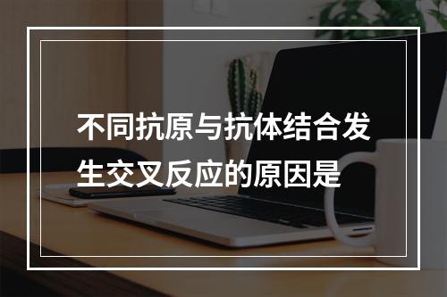 不同抗原与抗体结合发生交叉反应的原因是