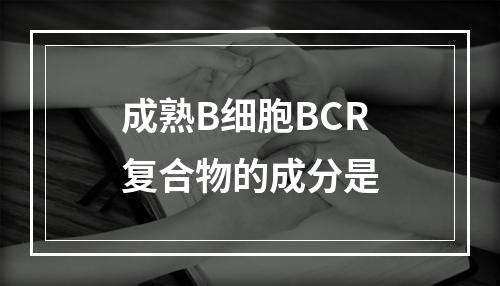 成熟B细胞BCR复合物的成分是