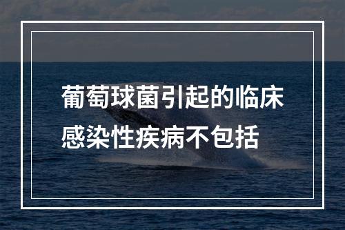 葡萄球菌引起的临床感染性疾病不包括