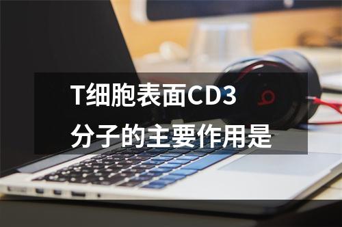 T细胞表面CD3分子的主要作用是