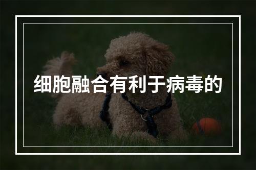 细胞融合有利于病毒的