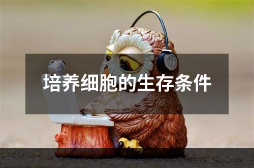 培养细胞的生存条件