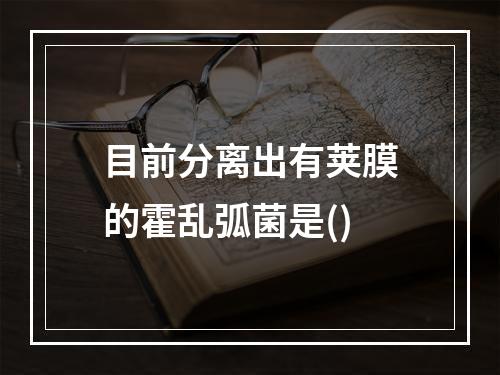 目前分离出有荚膜的霍乱弧菌是()