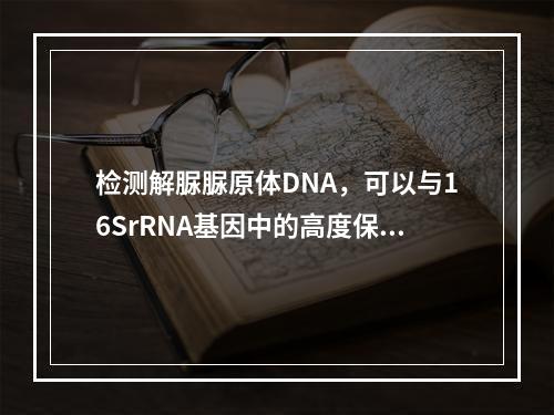 检测解脲脲原体DNA，可以与16SrRNA基因中的高度保守区