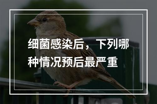 细菌感染后，下列哪种情况预后最严重