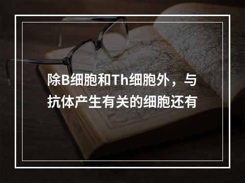 除B细胞和Th细胞外，与抗体产生有关的细胞还有