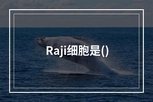 Raji细胞是()