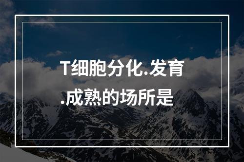 T细胞分化.发育.成熟的场所是