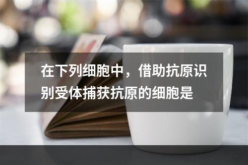 在下列细胞中，借助抗原识别受体捕获抗原的细胞是