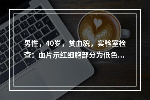 男性，40岁，贫血貌，实验室检查：血片示红细胞部分为低色素，