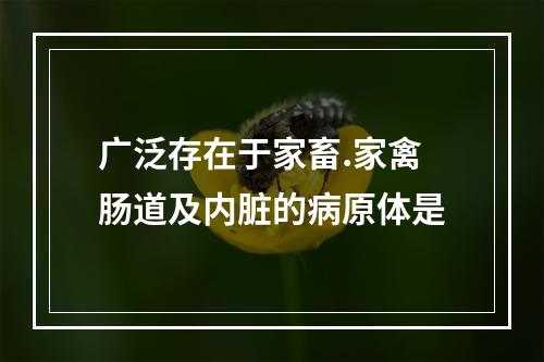 广泛存在于家畜.家禽肠道及内脏的病原体是