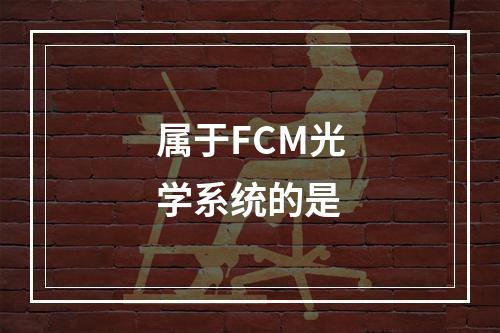 属于FCM光学系统的是