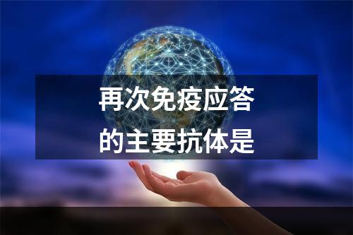 再次免疫应答的主要抗体是