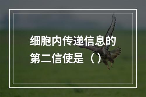 细胞内传递信息的第二信使是（ ）