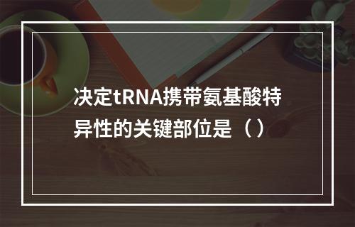 决定tRNA携带氨基酸特异性的关键部位是（ ）