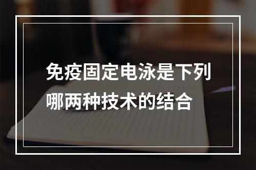 免疫固定电泳是下列哪两种技术的结合