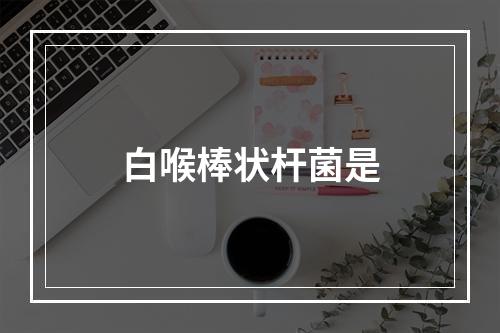 白喉棒状杆菌是